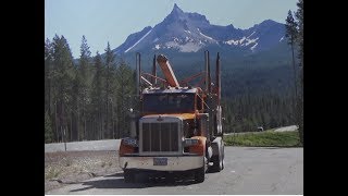 Jan Hauling Logs from Eastern Douglas County part 2 of 2 [upl. by Bobette106]