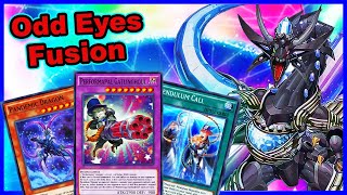 BUDGET ODD EYES revisiting my odd eyes fusion deck post Fantastic Arc Duel Links [upl. by Dott716]