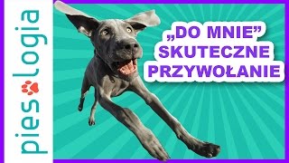 quotDo mniequot Nauka skutecznego przywołania [upl. by Giustino]