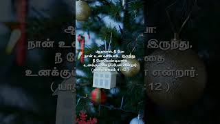 TODAY PROMISE WORDசத்திய விதைகள்shorts shortvideo shortsfeed prayer love [upl. by Opportina]