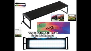 ĐÈN CHIHIROS WRGB II SLIM MỚI VỀ ĐỦ SIZE  taphoathuysinhcom [upl. by Garceau]