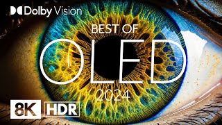 BEST OLED 2024  DOLBY VISION® 8K HDR [upl. by Birchard]