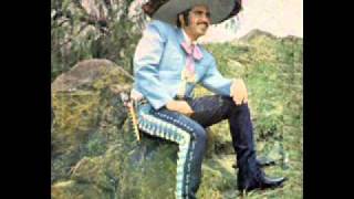 vicente fernandez  amor de los dos [upl. by Enneire]