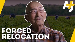 What Led To The Decline Of JapaneseAmerican Farmers In California  AJ [upl. by Bob]