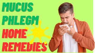 Home Remedies to Clear Mucus and Phlegm  Chest Infection  Cough [upl. by Rodmun461]