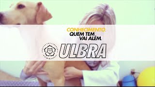 Campanha ULBRA  Medicina veterinária [upl. by Haldi]