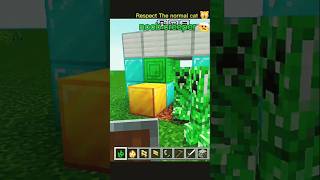 Normal hero of Minecraft🤩😹 minecraft cat shorts funny memes funnysong [upl. by Bertelli]