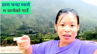 AJAKO SPECIAL VIDEO M JANMEKO HURKEKO GAU GHAR SOTA [upl. by Jo]