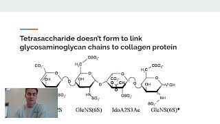 Faulty Glycosylation and EhlersDanlos Syndrome [upl. by Longtin]