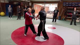 GM Walter Toch with differents application en detail Taiji Chen in selfdefence [upl. by Vitkun621]