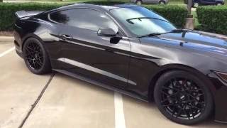 2015 Mustang GT UPDATE  Eibach Sportlines and drag radials [upl. by Chlores649]