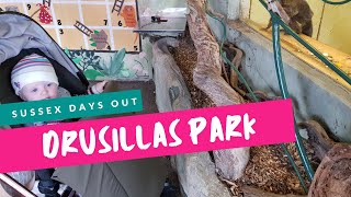 DRUSILLAS DAY OUT  THINGS TO DO SUSSEX  THINGS TO DO BRIGHTON [upl. by Nosreg]