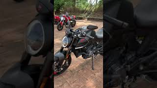 New Ducati Monster Stock Exhaust Sound and Walk Around [upl. by Milson]