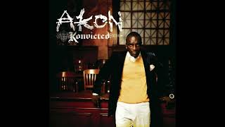 Akon  Smack That feat Eminem Improved Super Clean Version [upl. by Ettedo931]