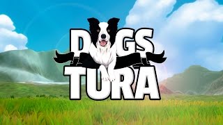 dogs of tura [upl. by Tory]