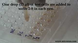 Treponema Pallidum Hemagglutination TPHA test for syphilis [upl. by Eintruoc]