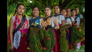 La Fiesta de los Concheros en ZAACHILA OAXACA [upl. by Kerrill360]