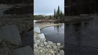 Moose creek flooding Glennallen Ak [upl. by Hochman413]