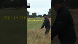 Phil’s fescue rescue 🅰️➕ [upl. by Enerehs]