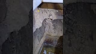 Inside a Septic tank sewage ejector system  tools trade DIY [upl. by Tannie]