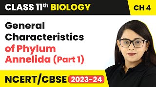 General Characteristics of Phylum Annelida Part 1  Class 11 Biology Chapter 4  NCERTCBSE [upl. by Iderf]