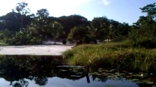 Kamuni Creek Guyana boat ride [upl. by Wilfrid]