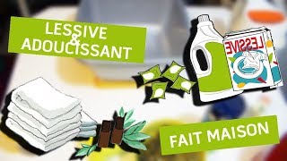 🌸DIY  Fabriquer sa lessive amp son adoucissant naturel maison🌸 [upl. by Retepnhoj]