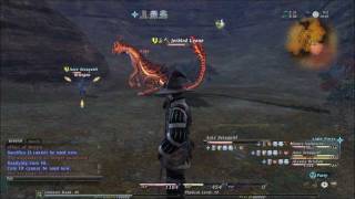 Final Fantasy XIV Online  Drake amp Peiste Grind Party Cactus Basin [upl. by Rech]