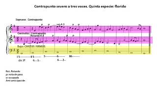 Contrapunto severo a tres voces quinta especie florido [upl. by Guglielmo]