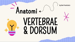 Anatomi Vertebrae amp Dorsum [upl. by Ahsehat340]