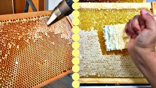 BEST HONEYCOMB UNCAPPING ON YOUTUBEOddly Satisfying [upl. by Alexei741]