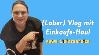 VlogEinkaufsHaul Rewe Lieferservice für 160 €Talk von kaputten Waschmaschinen und anderem vlog [upl. by Jamie301]