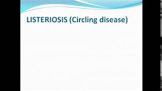 ListeriosisCircling disease ppt [upl. by Anatola981]