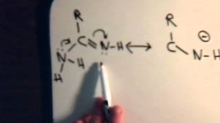 Organic Chemistry Video  16 Resonance  Example 12 Amidines [upl. by Airdnat819]