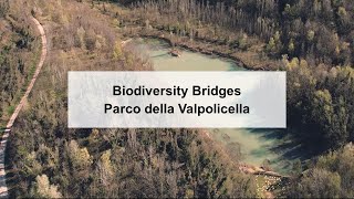 BIODIVERSITY BRIDGES Parco della Valpolicella [upl. by Nemra649]