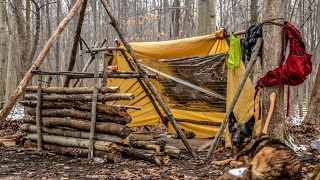 Overnight Bushcraft Camp with my Dog  Long Fire Wool Blanket Fire Reflector [upl. by Joung]