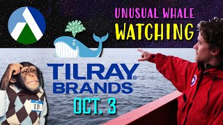 Tilray Brands Unusual Activity for October 3 [upl. by Wirth1]