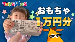 １万円もらったからトイザらスでおもちゃ買ってくるよ！１万円分おもちゃ買い放題！ [upl. by Gardell]