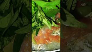 PINANGAT SA CALAMANSI ISDANG SALAY SALAY sarap delicious shorts shortvideo pinangatnaisda [upl. by Aime]