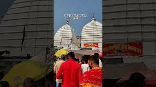 Baidyanath dham jyortiling mahadev status ytshorts youtubeshorts shortsfeed trending viral [upl. by Dulcea210]