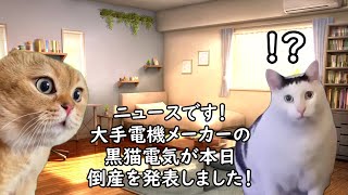 会社が倒産する前兆あるある【猫ミーム】 [upl. by Peony]