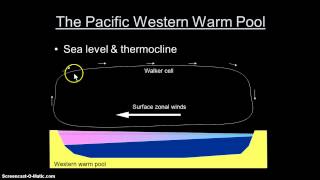 Equatorial Upwelling [upl. by Eillil892]