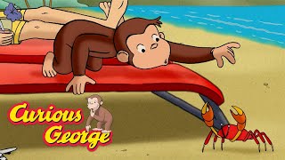 Vacation Chaos 🐵 Curious George 🐵 Kids Cartoon 🐵 Kids Movies [upl. by Yrrac500]