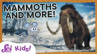 Woolly Mammoths Mastodons and Amazing Teeth  SciShow Kids [upl. by Nisotawulo]