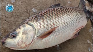 Big Mrigal Fish Fast Cutting Skills Live In Fish Market Bangladesh l Amazing Fish Cutting Skills [upl. by Ronoh134]