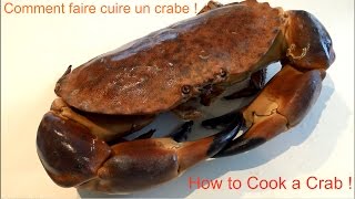 Comment Cuire un Crabe  Tourteau  Cancer Pagurus  How To Cook a Brown Crab  Bretagne  France [upl. by Coward422]