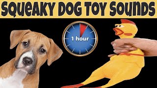 Squeaky Toy Dog Toy Sounds 1 Hour  DOG TOYS ONE HOUR [upl. by Bili]