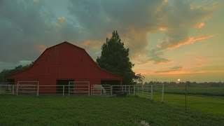 Back Road Barns of Arkansas [upl. by Mott978]