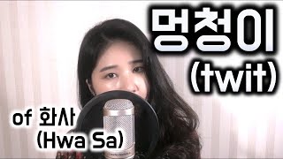 멍청이twit화사Hwasa  cover by 오늘 [upl. by Ashwell965]