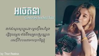 អចេតនា  Cover by Sochea Taa  Lyrics Song by Thon Reaksa [upl. by Putscher]